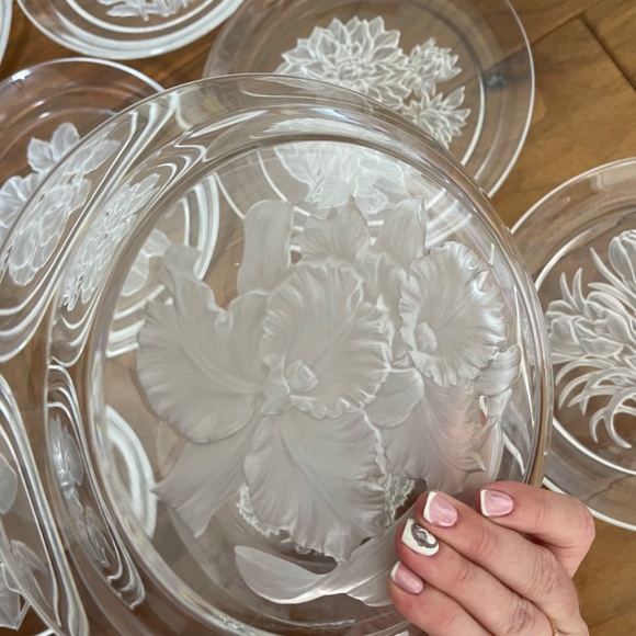 Hoya  Flower Of The Month November-Orchids-Elegance T. Yamamoto - Picture 2 of 4